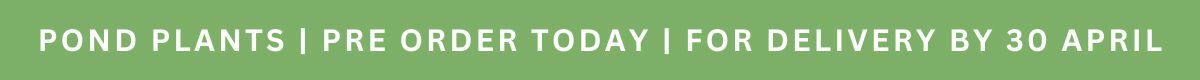 PRe Order Pond Plants For Delivery by 20th April 2026