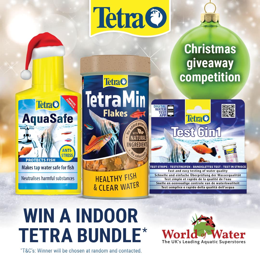Win A Tetra Pond Bundle 