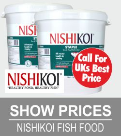 nishikoi-deals.jpg