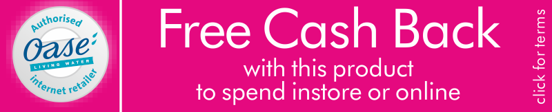 Cash Back Banner