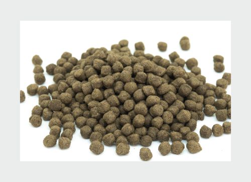 Pond Pellet Fish Food