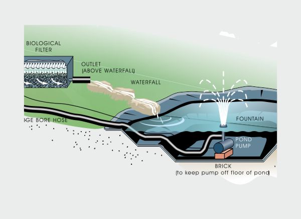 Pond equipment layout