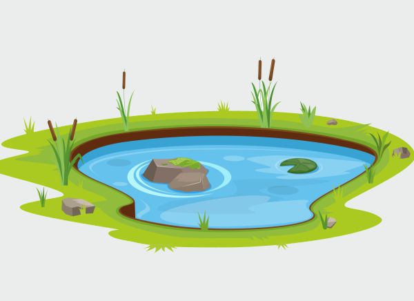 Pond shape