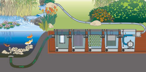 How To | Designing Fish Pond Filtration | World of Water