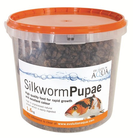 Evolution Aqua Silkworm Pupae