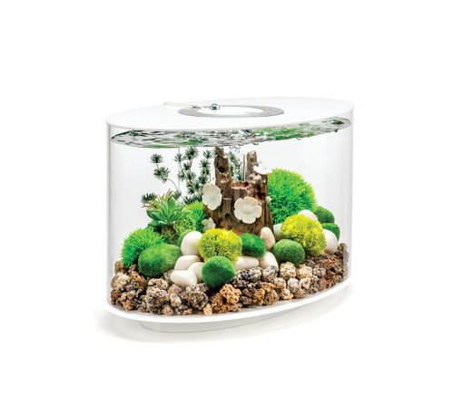 Aquarium Long 15l Contours Noir - Loop 15 Mcr Black