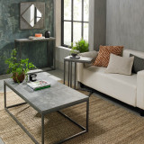 Renzo Zinc & Dark Grey Coffee Table