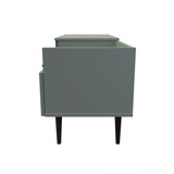 Hong Kong (Black Legs) TV Console Unit in Reed Green