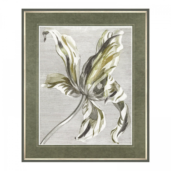 Tulip Bloom by Johan Teyler | Framed Wall Art