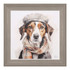 Jack Framed Watercolour Beagle Portrait