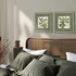 Botanical Style by Mark Catesby | Botanical Wall Art