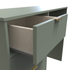 Diego (Gold Sleigh Legs) 4 Drawer Vanity in Reed Green