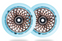 Root Industries Lotus Wheels 110mm x 24mm Copper/Isotope Root Industries Lotus Wheels 110mm x 24mm Copper/Isotope