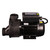 SpaNet XS-3C Spa Pool Circulation Pump