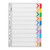 Icon Cardboard Dividers with Reinforced Tabs 10 Tab Coloured