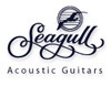 Seagull