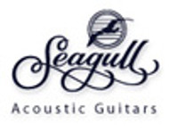 Seagull