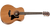 Taylor GS Mini Mohagany W/bg