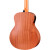 Taylor GS Mini-e Special Edition - Transparent Black