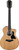 Taylor 254ce Plus