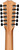 Taylor 254ce Plus