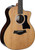 Taylor 254ce Plus