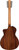 Taylor 254ce Plus