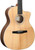 Taylor 214ce-N Grand Auditorium