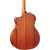 Taylor 114ce Grand Auditorium Sapele 