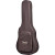 Taylor 250ce Plus BLK Doce Doble W/bg
