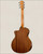 Taylor 114ce Acoustic/Electric Cutaway Guitar w/ Bag