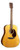 Martin D-12E Retro