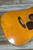 Used 1974 Guild D-35 w/Cs