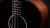 Taylor 217e Plus SB