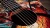 Taylor ZEDD GS Mini Telos Special Edition