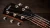 Taylor Jacob Collier Academy 22e 5-String