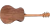 Taylor Jacob Collier Academy 22e 5-String