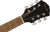 FA-125CE Dreadnought - Sunburst