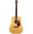 Martin D-18 Guitar, Solid Top / Mahogany Back & Sides. Includes Case