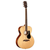 Alvarez ABT60E Baritone Acoustic/Electric Guitar