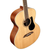 Alvarez ABT60E Baritone Acoustic/Electric Guitar