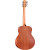 Taylor Guitars GS Mini  w/ Gig Bag