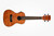 Kala Exotic Mahogany Concert w/ EQ