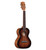 Alvarez Artist Tenor Ukulele Shadowburst