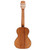 Alvarez Artist Tenor Ukulele Shadowburst