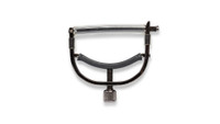 Taylor Capo, 6-string, Nickel