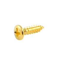 Allparts Standard Pickguard Screws - Gold