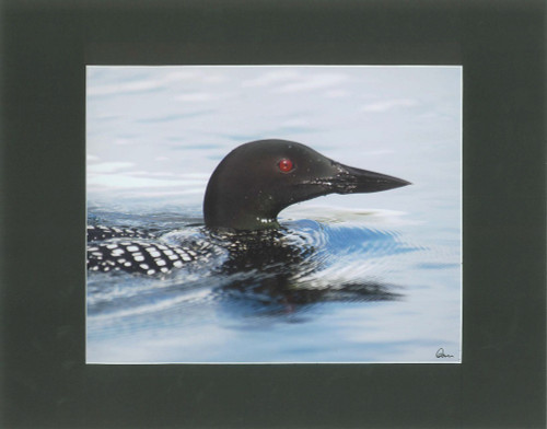 Duck On Pond By Alaskan Photographer Gan Welland With Deep Green Matting