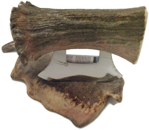 Colossal Alaskan Natural Moose Antler Ulu Knife w/antler tip stand (SC1)