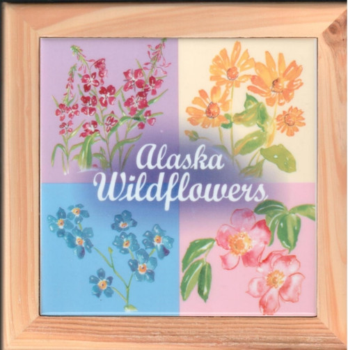 Alaska Wildflowers of Alaska Framed Ceramic Trivet